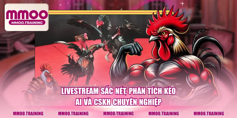 Livestream sắc nét, phân tích kèo AI và CSKH chuyên nghiệp