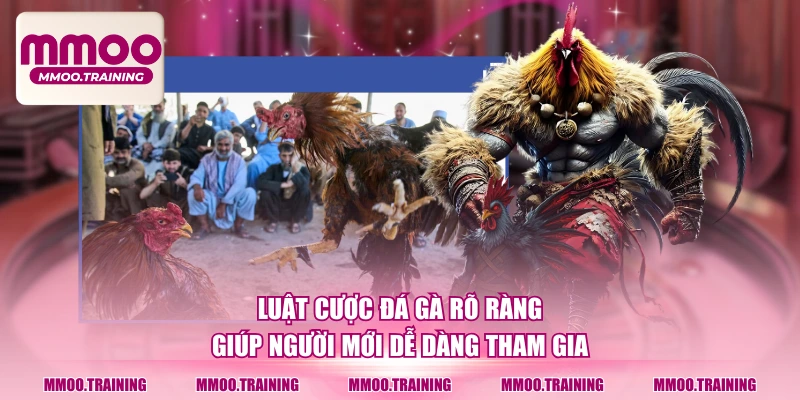 Luật cược đá gà rõ ràng giúp người mới dễ dàng tham gia