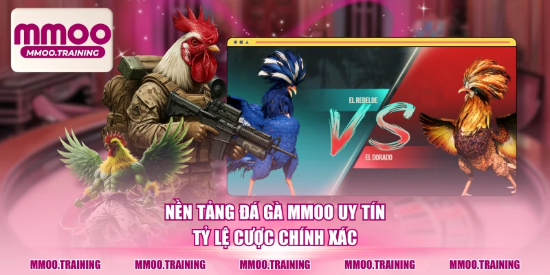 Nền tảng đá gà MMOO uy tín, tỷ lệ cược chính xác